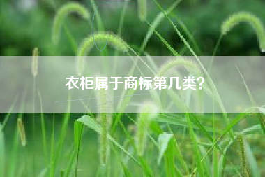 衣柜属于商标第几类？