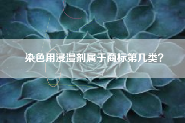 染色用浸湿剂属于商标第几类？