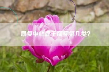 康复中心属于商标第几类？