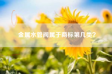 金属水管阀属于商标第几类？