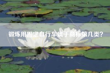 锻炼用固定自行车属于商标第几类？