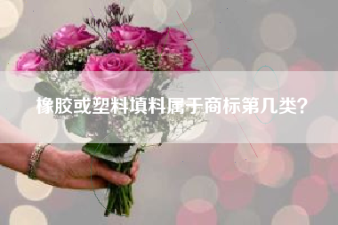 橡胶或塑料填料属于商标第几类？