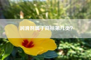 润滑剂属于商标第几类？