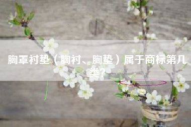 胸罩衬垫（胸衬、胸垫）属于商标第几类？