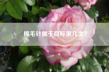棉毛针属于商标第几类？
