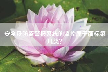 安全及防盗警报系统的监控属于商标第几类？