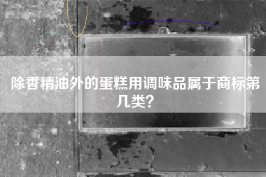 除香精油外的蛋糕用调味品属于商标第几类？