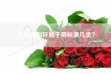 抗风湿指环属于商标第几类？