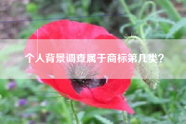 个人背景调查属于商标第几类？