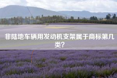 非陆地车辆用发动机支架属于商标第几类？