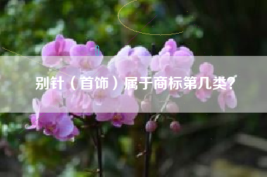 别针（首饰）属于商标第几类？