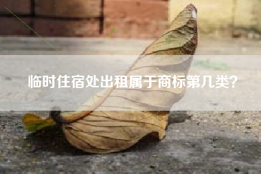 临时住宿处出租属于商标第几类？