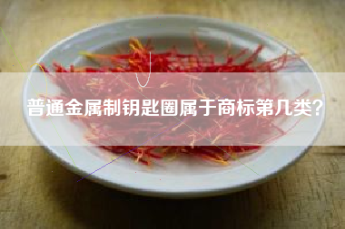 普通金属制钥匙圈属于商标第几类？