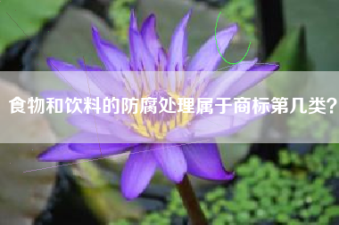 食物和饮料的防腐处理属于商标第几类？