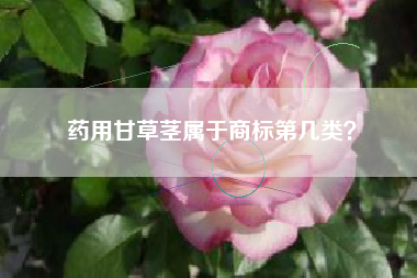 药用甘草茎属于商标第几类？