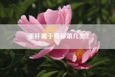 蛋杯属于商标第几类？