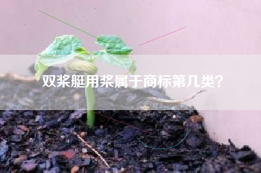 双桨艇用桨属于商标第几类？