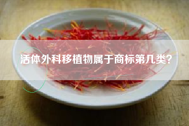 活体外科移植物属于商标第几类？