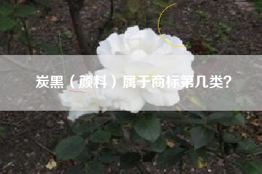 炭黑（颜料）属于商标第几类？