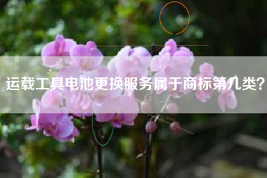 运载工具电池更换服务属于商标第几类？