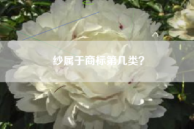 纱属于商标第几类？