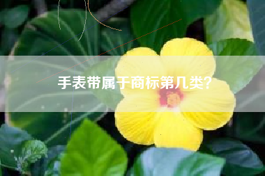 手表带属于商标第几类？