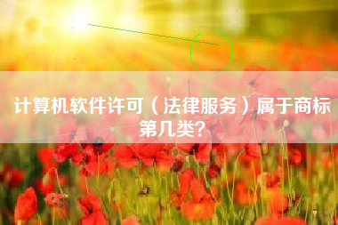 计算机软件许可（法律服务）属于商标第几类？