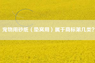宠物用砂纸（垫窝用）属于商标第几类？