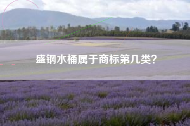 盛钢水桶属于商标第几类？