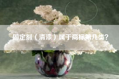 固定剂（清漆）属于商标第几类？