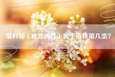 填料箱（机器部件）属于商标第几类？