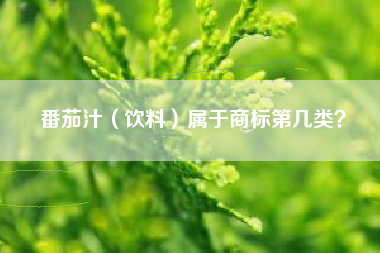 番茄汁（饮料）属于商标第几类？