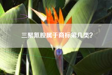 三聚氰胺属于商标第几类？
