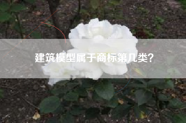 建筑模型属于商标第几类？