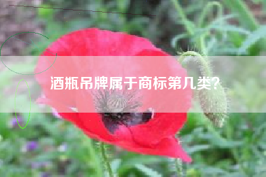 酒瓶吊牌属于商标第几类？