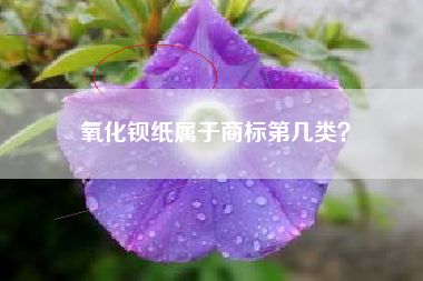 氧化钡纸属于商标第几类？