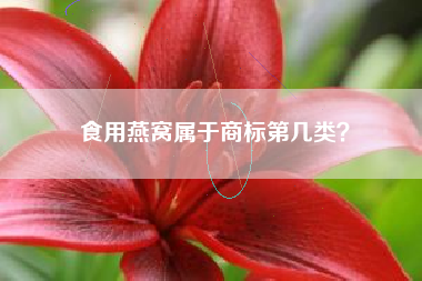 食用燕窝属于商标第几类？