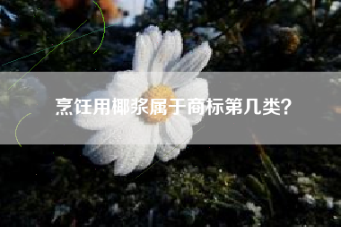 烹饪用椰浆属于商标第几类？