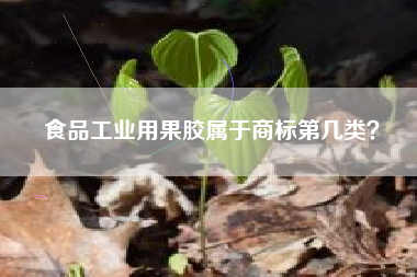 食品工业用果胶属于商标第几类？