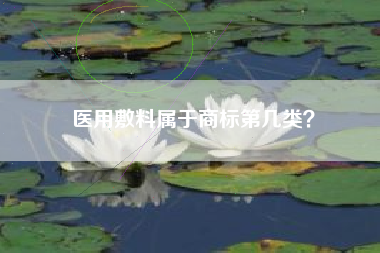 医用敷料属于商标第几类？