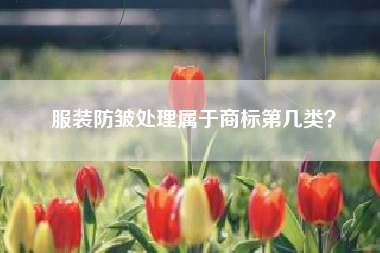 服装防皱处理属于商标第几类？