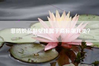 非纺织品制壁挂属于商标第几类？