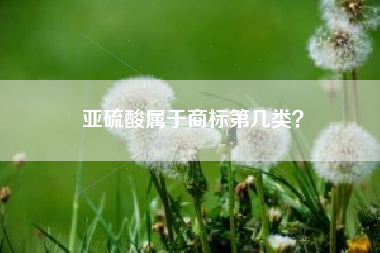亚硫酸属于商标第几类？