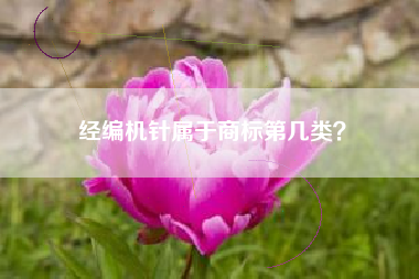 经编机针属于商标第几类？