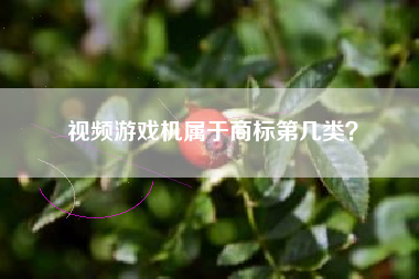 视频游戏机属于商标第几类？