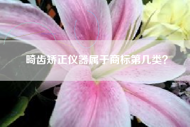 畸齿矫正仪器属于商标第几类？