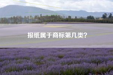 报纸属于商标第几类？