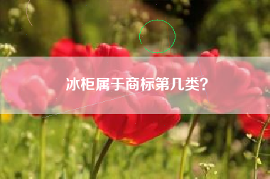 冰柜属于商标第几类？