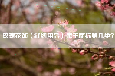 玫瑰花饰（缝纫用品）属于商标第几类？