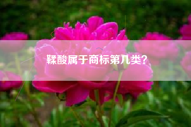 鞣酸属于商标第几类？